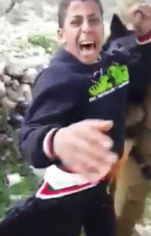 הערבי המסכן היומי